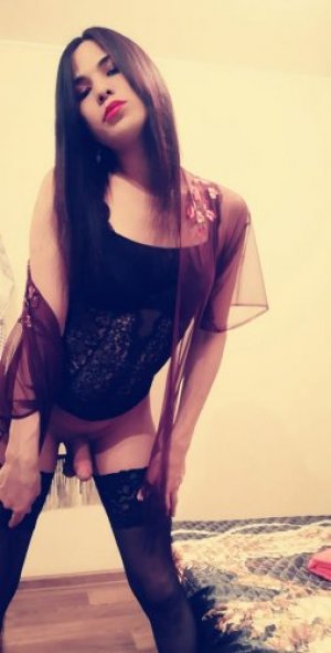 Транссексуалка Андина 